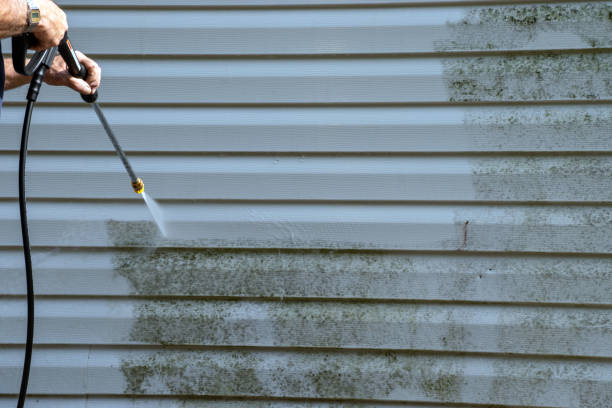 Best Steel Siding Installation  in Far Hills, NJ